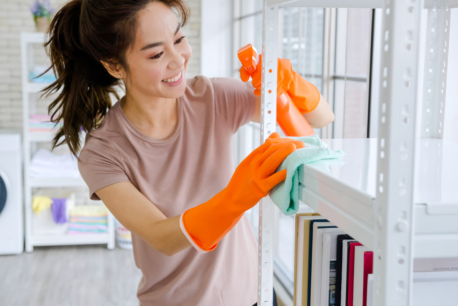 Woman Clean Home