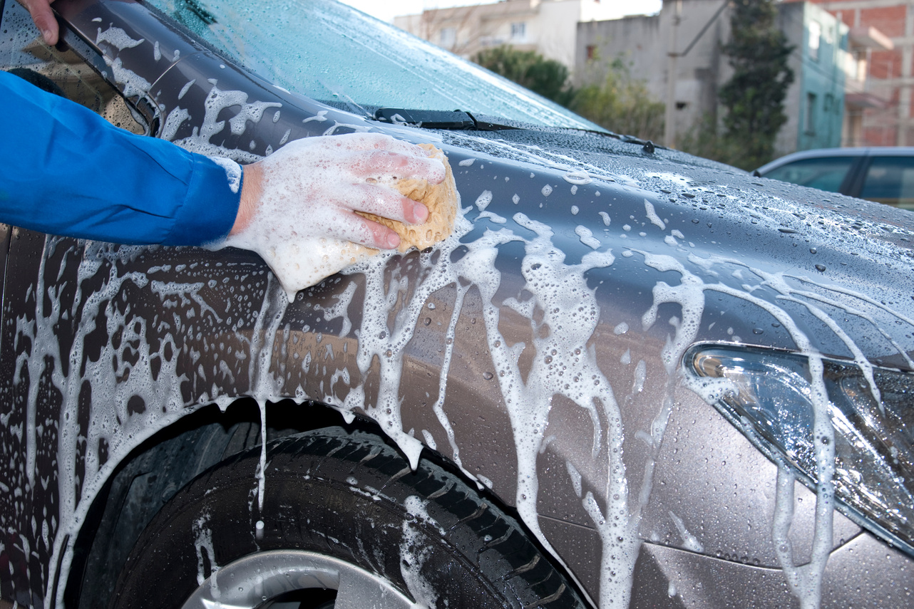 Hand Car Wash Sponge